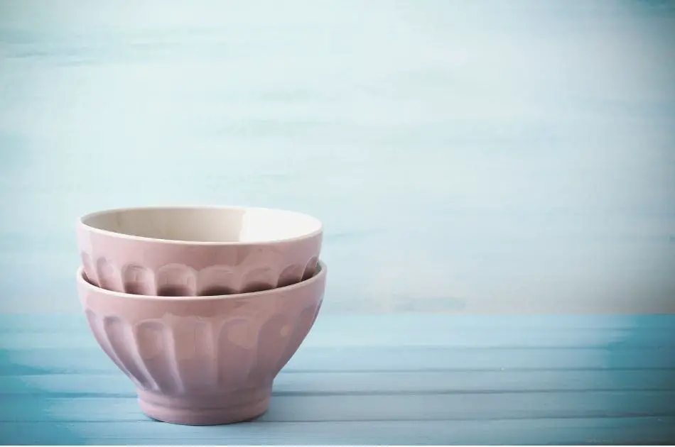 Can Ceramic Bowls Go In The Freezer Pinterest