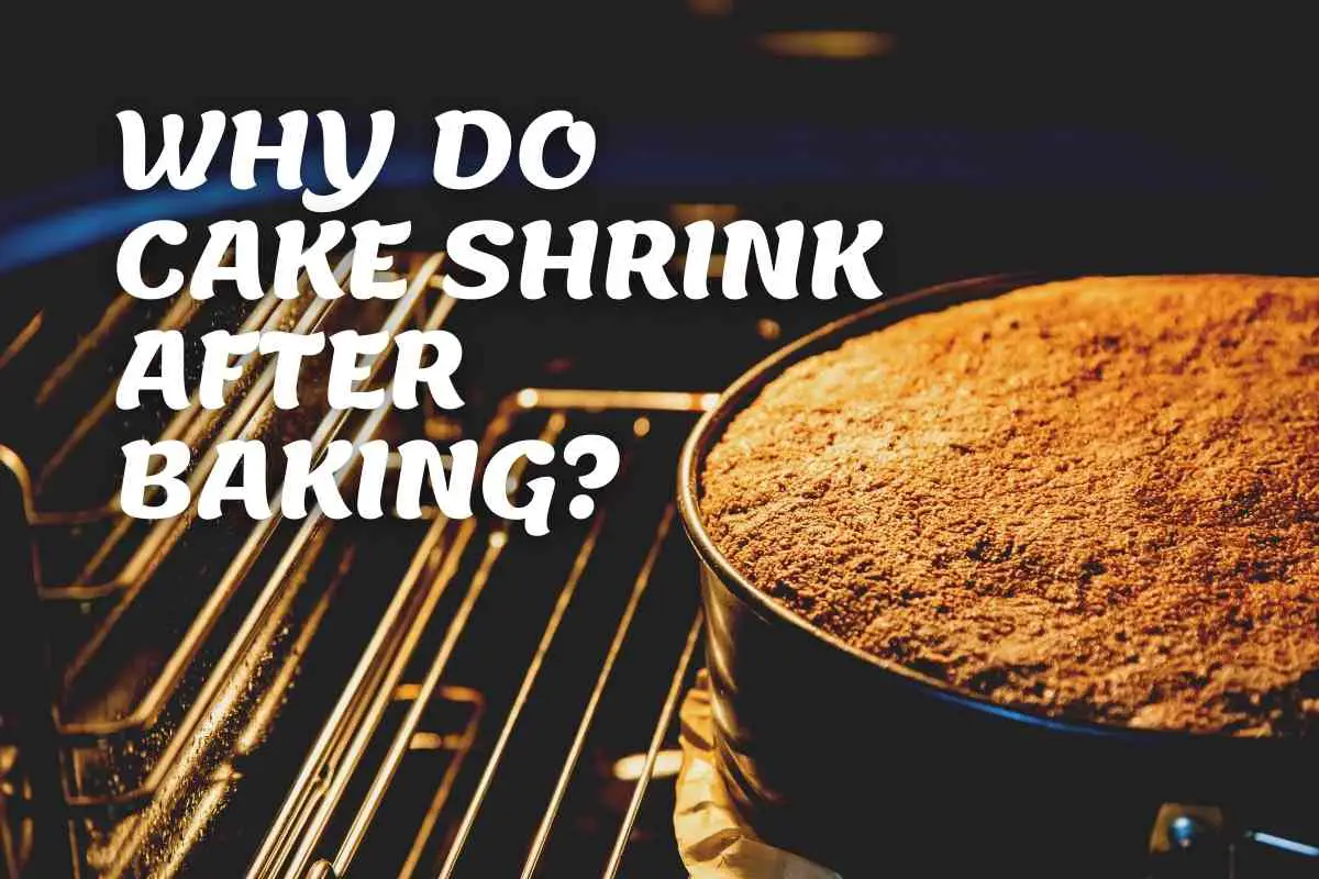 Why Do Cakes Shrink After Baking? [Here’s The Answer]