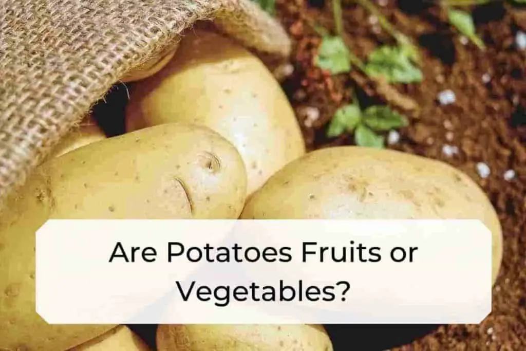 Are Potatoes Fruits or Vegetables