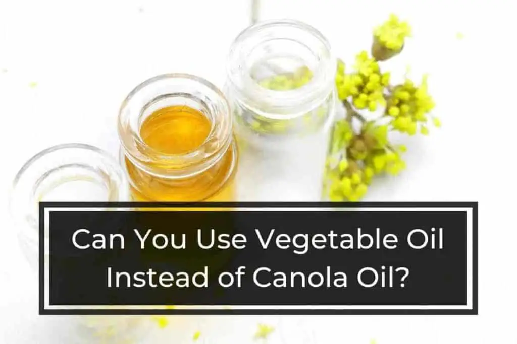 Can You Use Vegetable Oil Instead of Canola Oil
