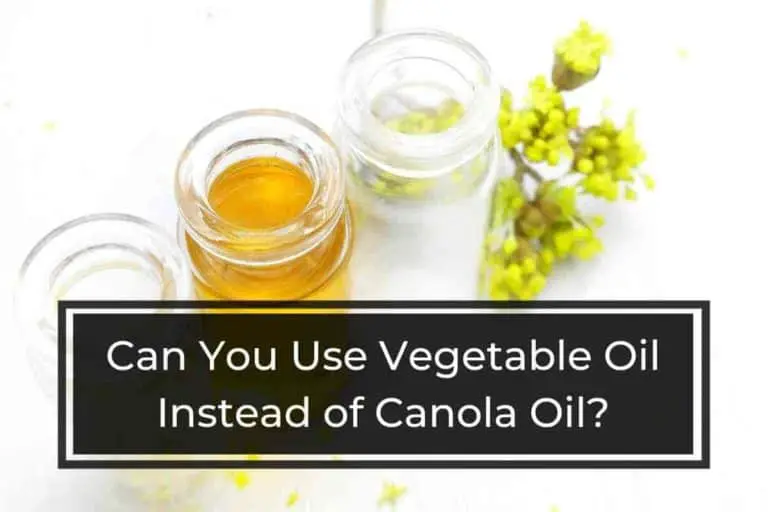 Can You Use Vegetable Oil Instead of Canola Oil?