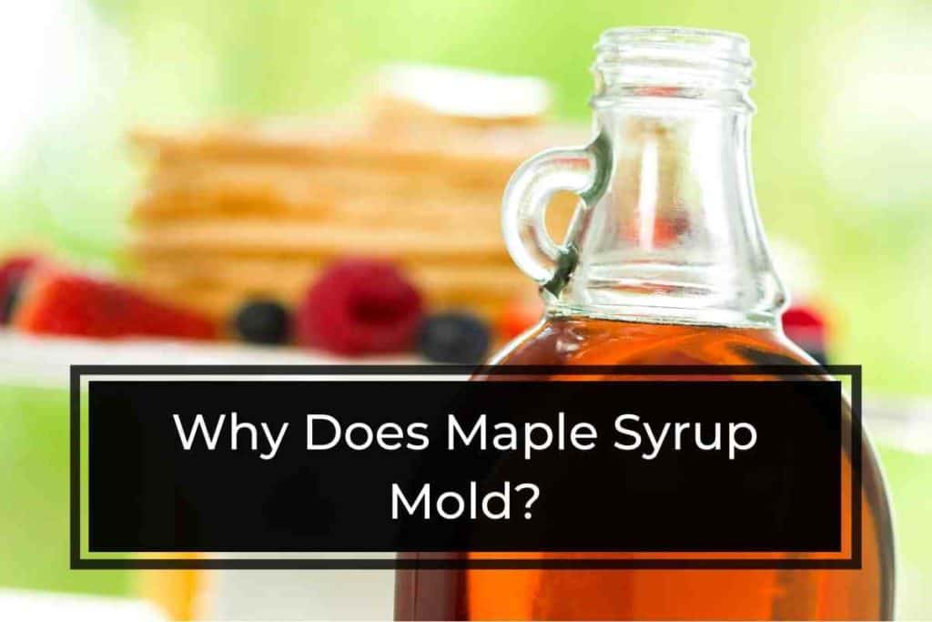 Why Does Maple Syrup Mold