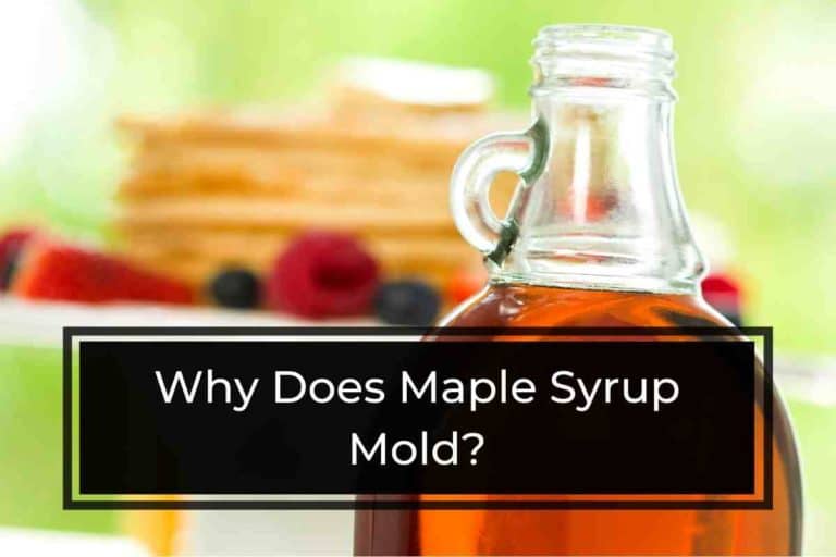 why-does-maple-syrup-mold-a-detailed-answer