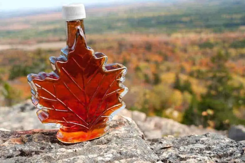 maple syrup in bottle