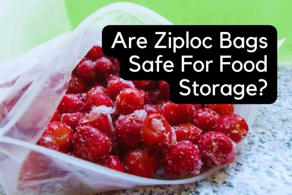 Are Ziploc Bags Safe For Food Storage