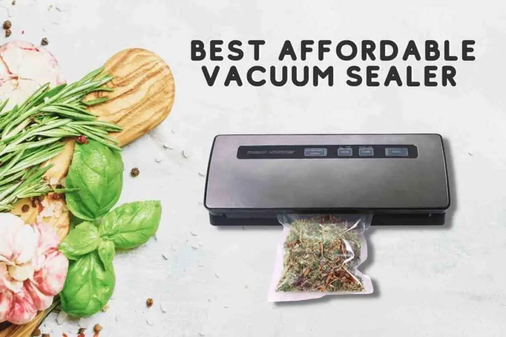 Best Affordable Vacuum Sealer
