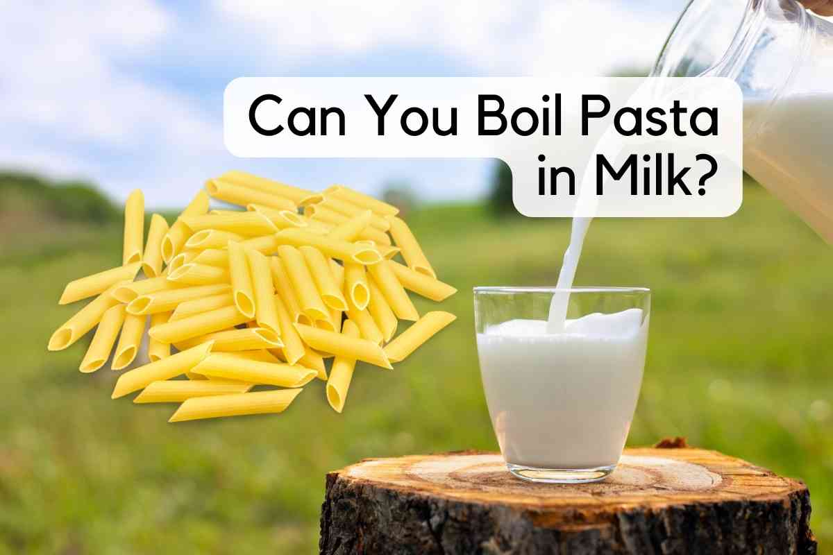Can You Boil Pasta In Milk? [Here's The Answer]