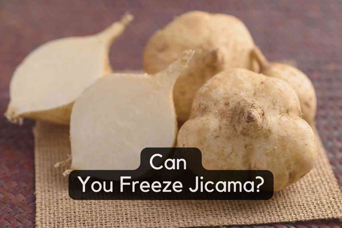 Can You Freeze Jicama? [A Detailed Answer]