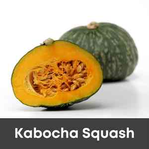 Kabocha Squash
