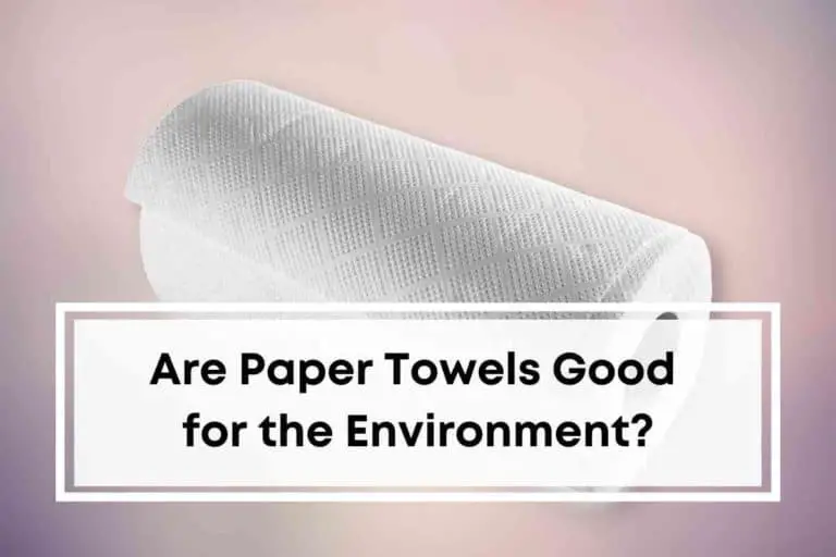 Are Paper Towels Good for the Environment?
