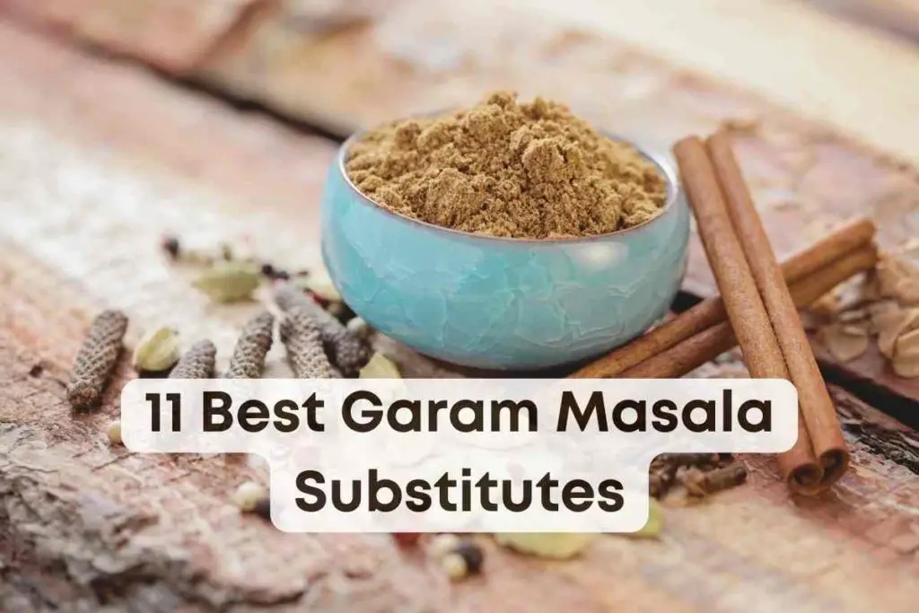 Best Garam Masala Substitutes
