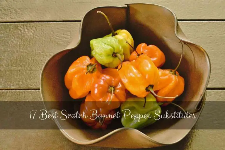 17 Best Scotch Bonnet Pepper Substitutes