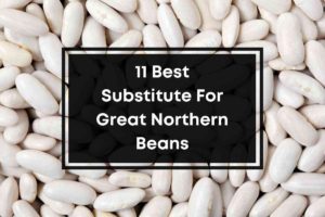 Best Substitute For Great Northern Beans