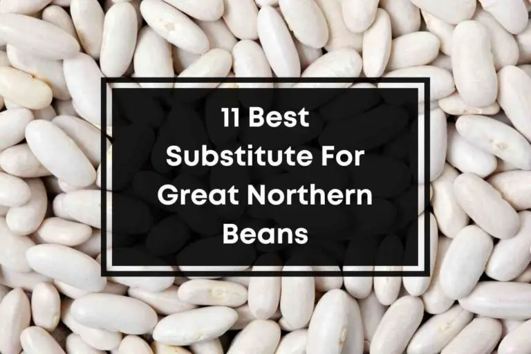 11 Best Substitute For Great Northern Beans