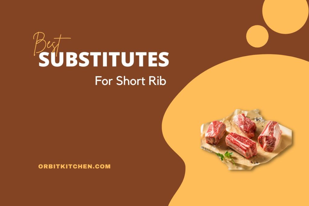 Best Substitutes For Short Rib