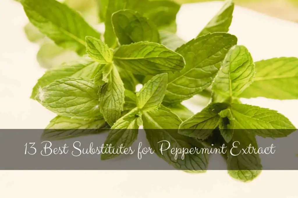 Best Substitutes for Peppermint Extract