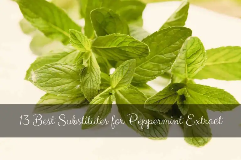 13 Best Substitutes for Peppermint Extract