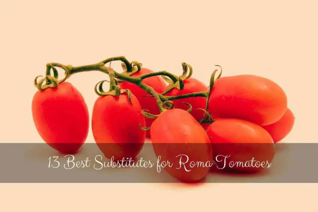 Best Substitutes for Roma Tomatoes