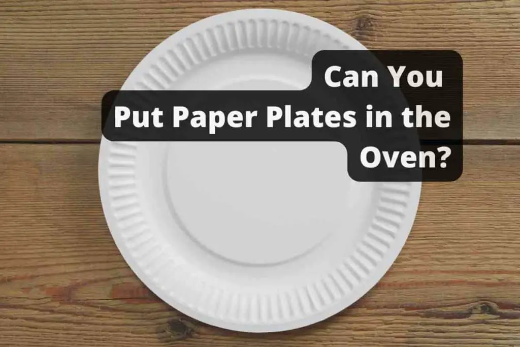Can You Put Paper Plates in the Oven