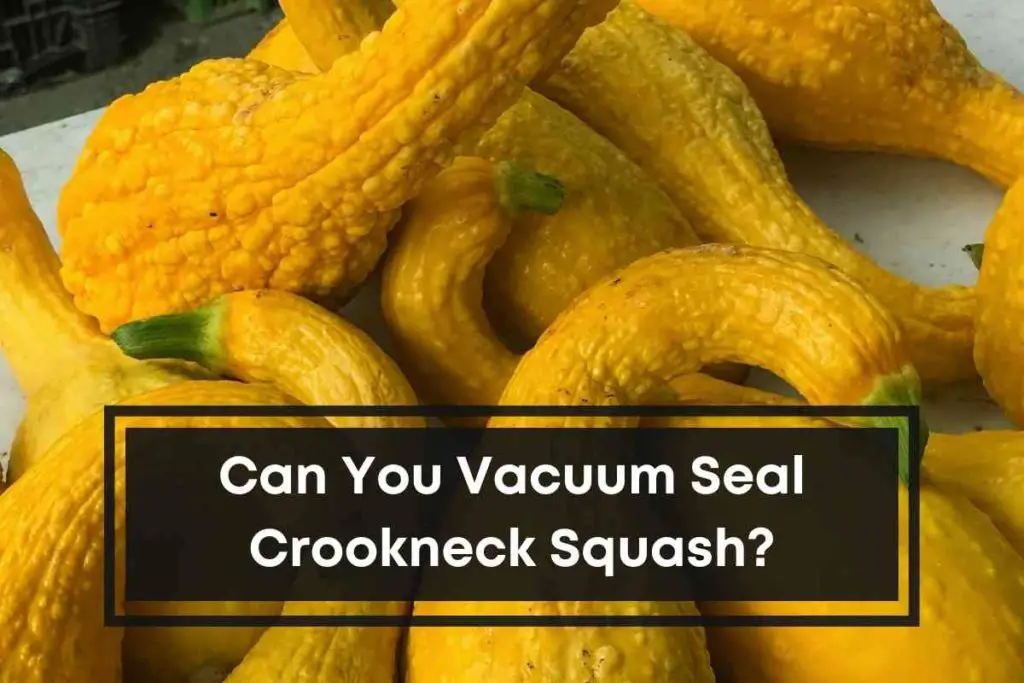 Can You Vacuum Seal Crookneck Squash