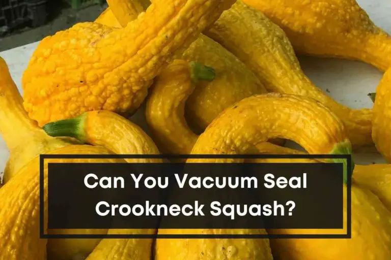 Can You Vacuum Seal Crookneck Squash?