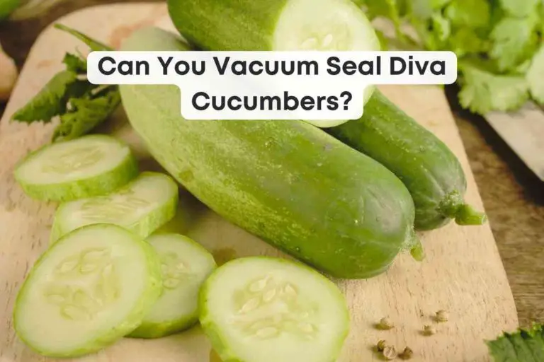 Can You Vacuum Seal Diva Cucumbers?
