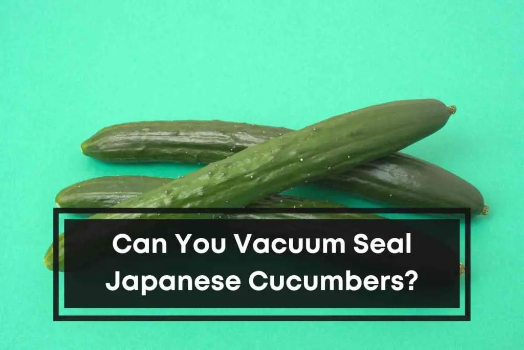 Can You Vacuum Seal Japanese Cucumbers