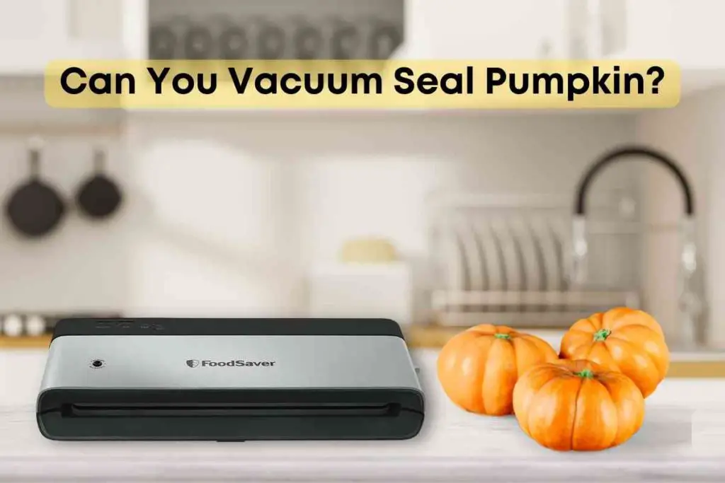 Can You Vacuum Seal Pumpkin