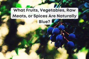 What Fruits, Vegetables, Raw Meats, or Spices Are Naturally Blue