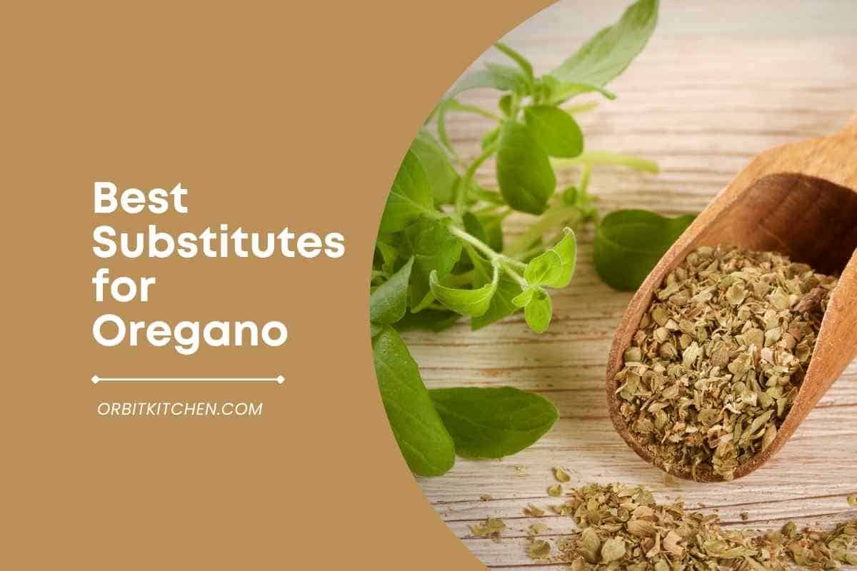 13 Best Substitutes For Oregano