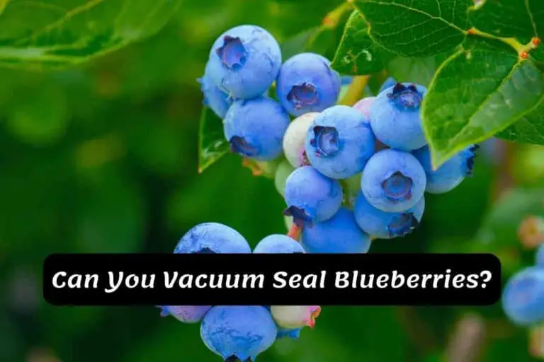 Can You Vacuum Seal Blueberries?
