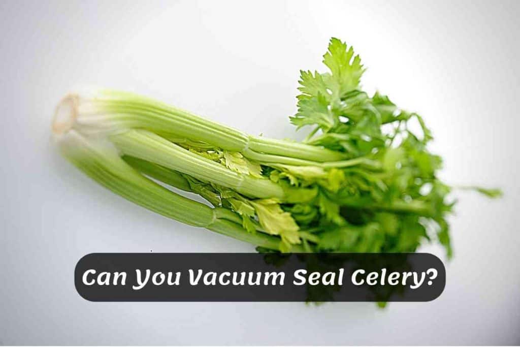 Can You Vacuum Seal Celery