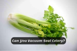 Can You Vacuum Seal Celery