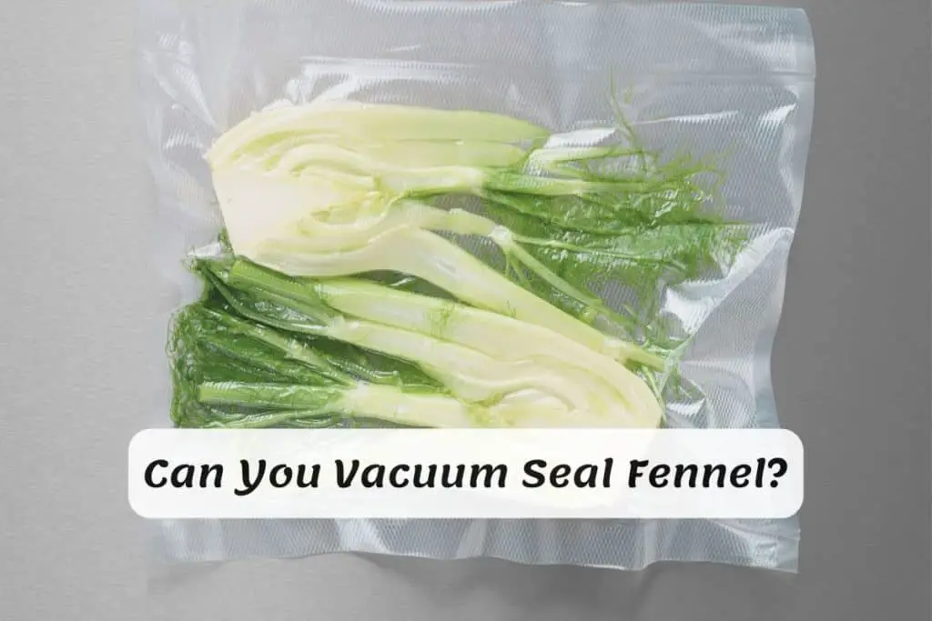 Can You Vacuum Seal Fennel
