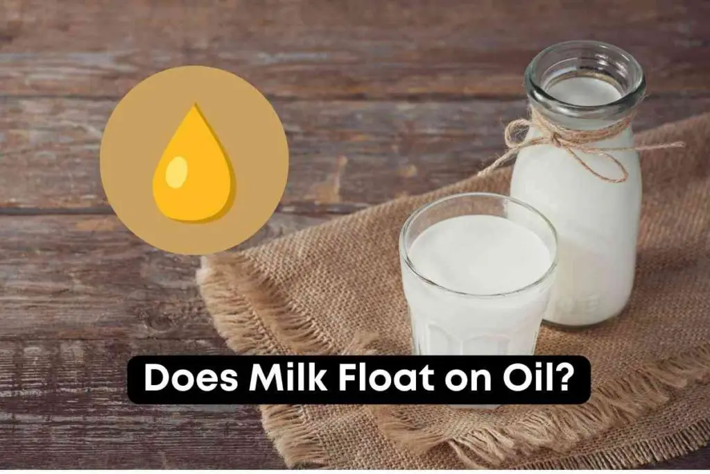 Does Milk Float on Oil