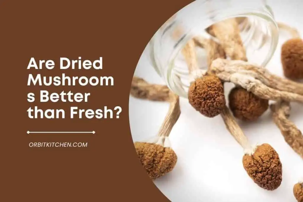 Are Dried Mushrooms Better than Fresh
