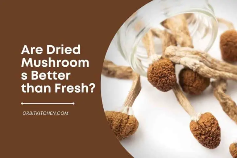 Are Dried Mushrooms Better than Fresh?