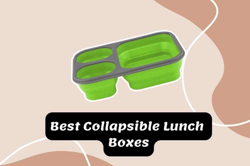 Best Collapsible Lunch  Box