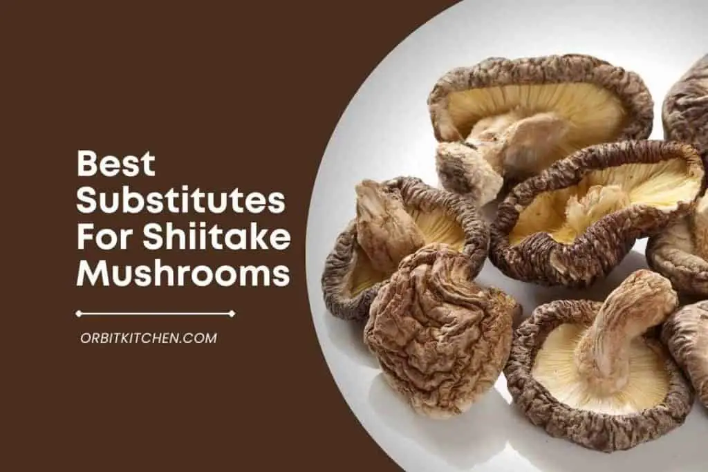Best Substitutes For Shiitake Mushrooms 