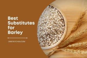 Best Substitutes for Barley