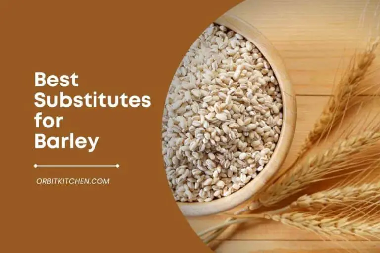 15 Best Substitutes for Barley