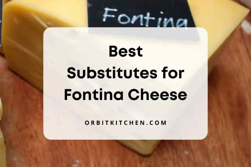 Substitutes for Fontina Cheese