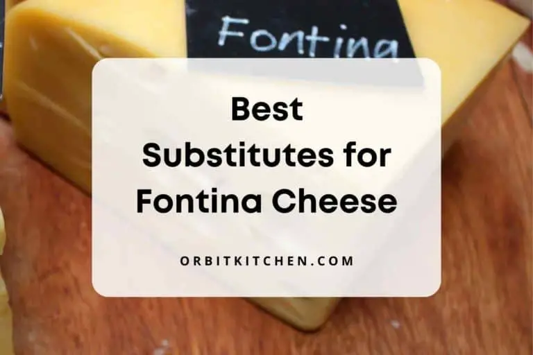 15 Best Substitutes for Fontina Cheese 