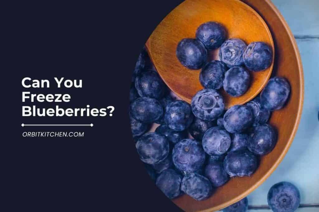 Can You Freeze Blueberries