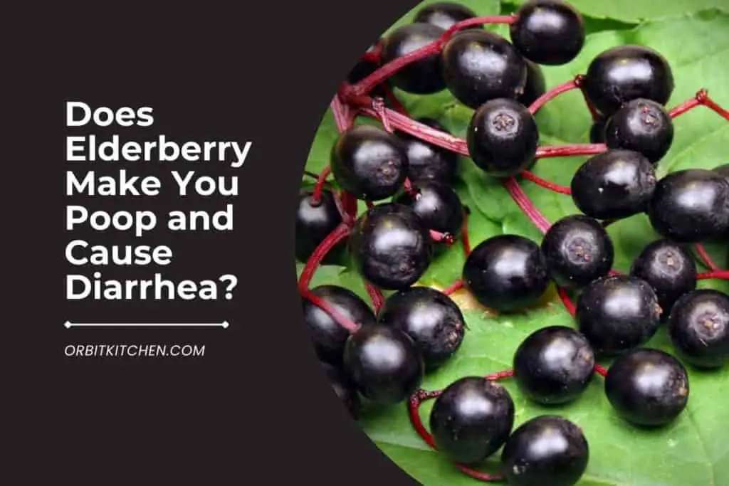 Does Elderberry Make You Poop and Cause Diarrhea