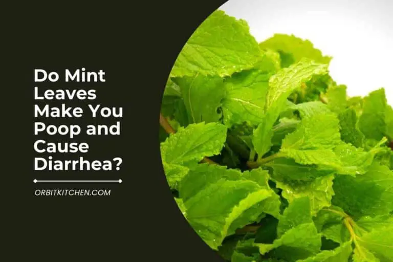Do Mint Leaves Make You Poop and Cause Diarrhea?