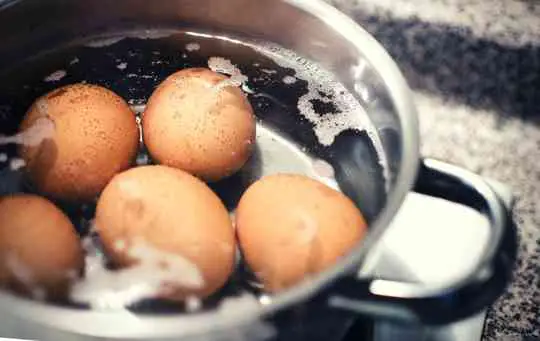 How to Make a Hard Boiled Egg?