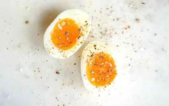 How to Make a Soft Boiled Egg?